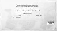 Image Associated With the Occurence